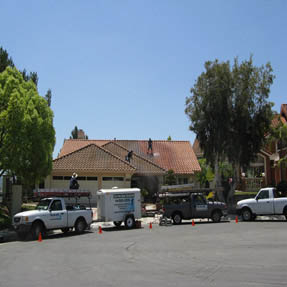 Roof Cleaning 